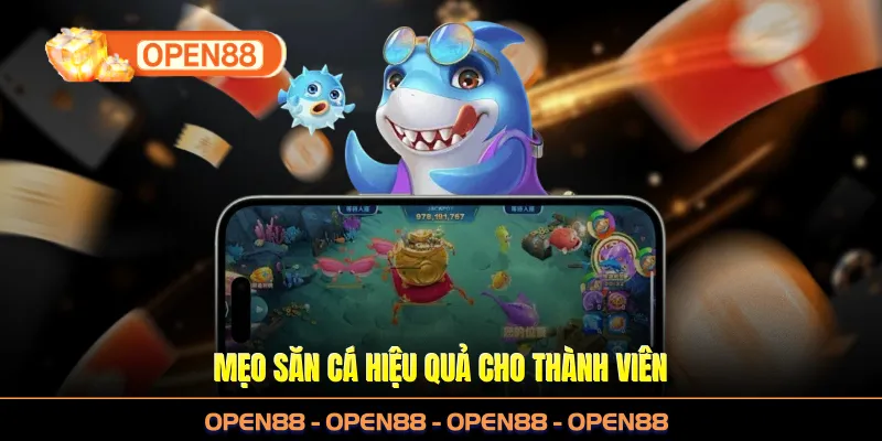 Mẹo săn cá hiệu quả cho thành viên